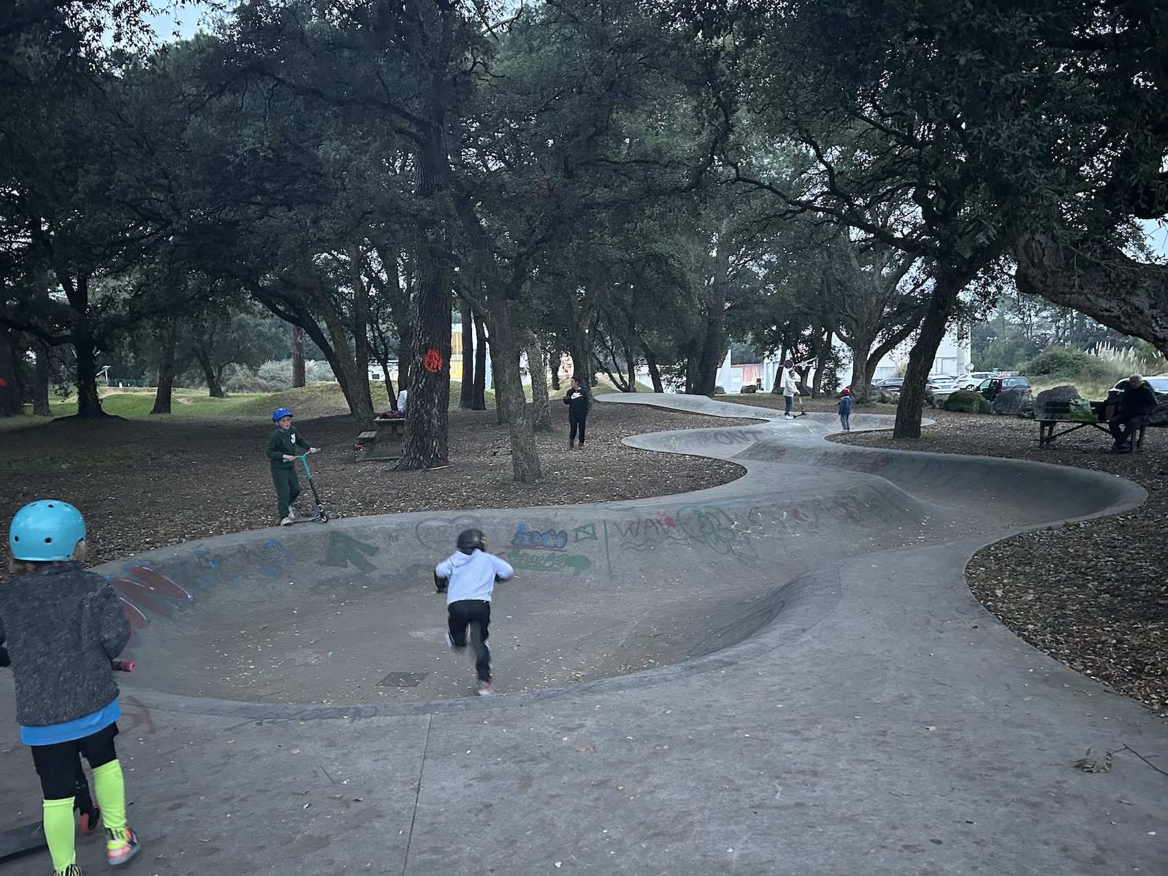 Tarnos skatepark